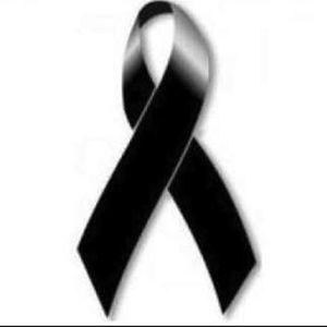 Meet your Posher, Cimone