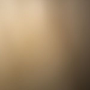 Meet your Posher, Alfredo