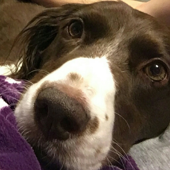 Meet your Posher, Janice - Picture 2 of 3