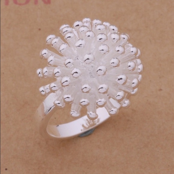 🆕Fashionable Firework Flower 💍 HOLIDAY RING☃️