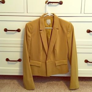 Halogen Blazer