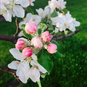 Meet your Posher, Stacy