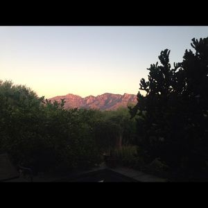 Meet your Posher, Renee