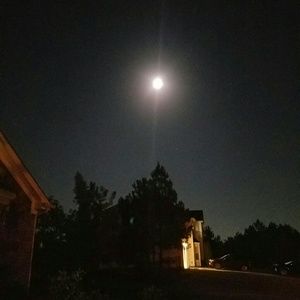 Meet your Posher, Lashundra