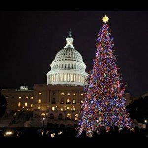 Meet your Posher, Caden