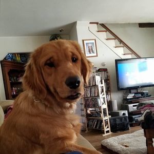 Meet your Posher, Deborah