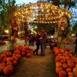 Meet your Posher, Savannah