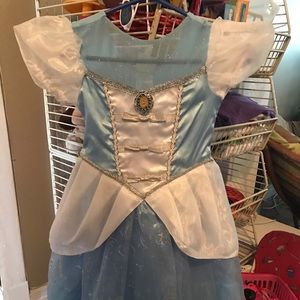 Cinderella Costume/Dress