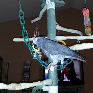 Meet your Posher, Denise