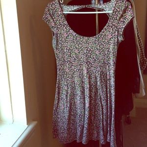 AEO Floral Skater Dress