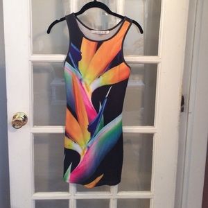 Lovers + friends Floral pattern mini dress