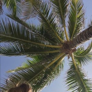 Meet your Posher, Nell