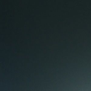 Meet your Posher, Paige