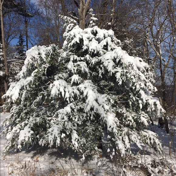 Meet your Posher, Jennifer - Picture 2 of 2