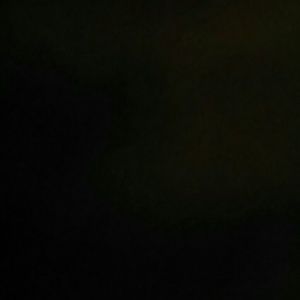 Meet your Posher, Evelyn