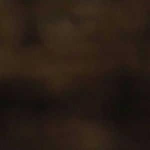 Meet your Posher, Abrielle