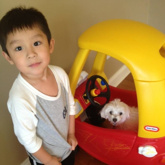 Meet your Posher, Judy