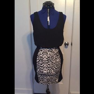 Black and White Zebra Print Dress
