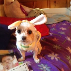 Meet your Posher, Patsy