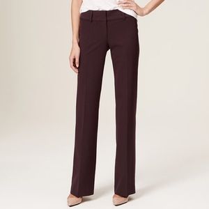 Burgundy dress pants