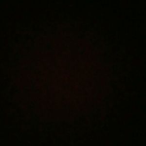 Meet your Posher, Daisy