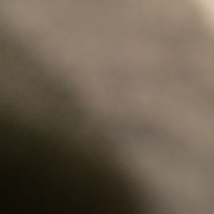 Meet your Posher, Muhammad