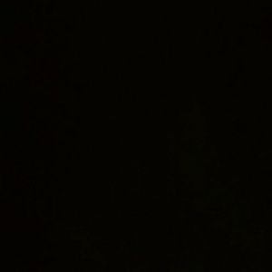 Meet your Posher, Ricardo