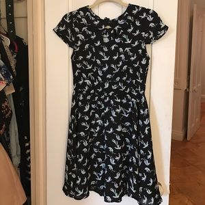 Peter Pan collar, bird patterned dress
