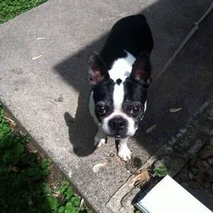 Meet your Posher, Lori