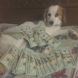 Meet your Posher, Jeremie