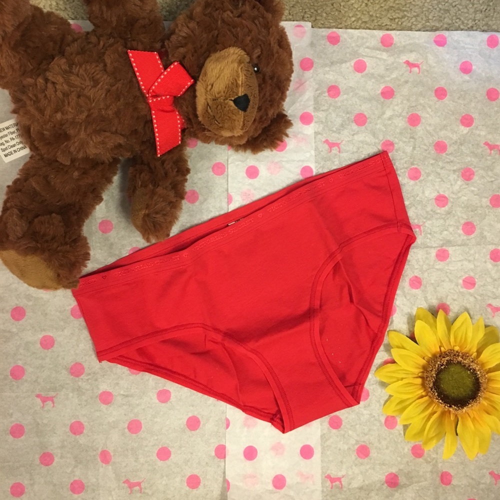 NWT VS PINK Holiday Panty - Picture 5 of 7