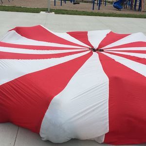 Meet your Posher, Carmen