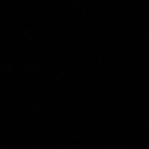 Meet your Posher, Armando