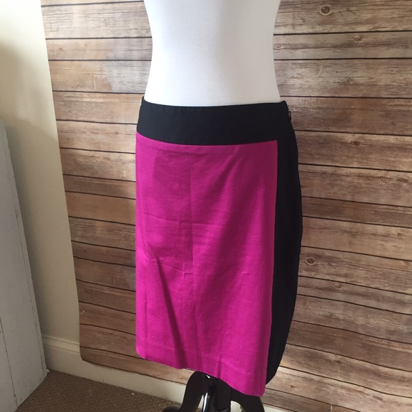 The Limited Dresses & Skirts - ❗️LAST CHANCE❗️THE LIMITED Pencil Skirt