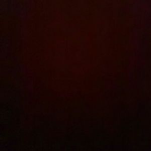 Meet your Posher, Jadeon