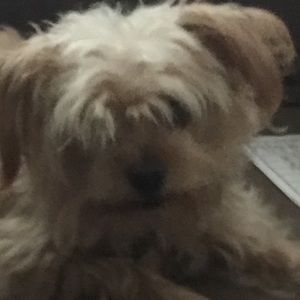 Meet your Posher, Staci