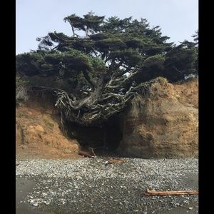 Meet your Posher, Tanisia