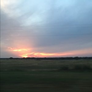 Meet your Posher, Blake