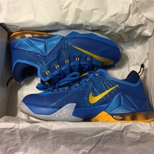 Lebron 12 low...size 5Y