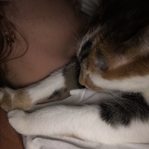 Meet your Posher, Amy