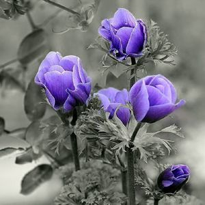 Meet your Posher, Sue