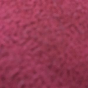 Meet your Posher, Alisha