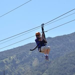 Meet your Posher, Sylvia