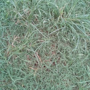 Meet your Posher, Adolfo