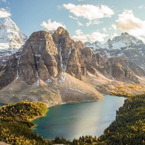 Meet your Posher, Sydney