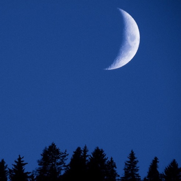 Meet your Posher, Danielle - Picture 1 of 1