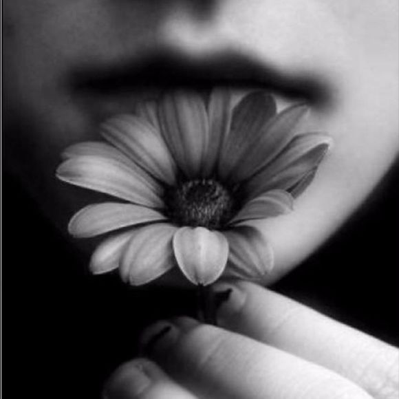 Meet your Posher, Isabel - Picture 1 of 1