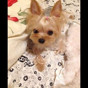 Meet your Posher, Patti