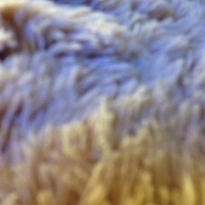 Meet your Posher, Katina