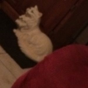 Meet your Posher, Deja